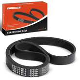 A-Premium front view of belt packaging showing product identity and reassurance