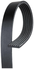 ACDelco 6K938 front view showing full belt and fit for easy replacement