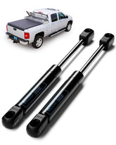 ARANA front view of two gas struts showing shape and length, clear fit guidance