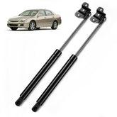 ARANA front view of both hood struts showing fit and finish benefit