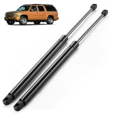 ARANA rear hatch strut front view showing robust build and fitment advantage