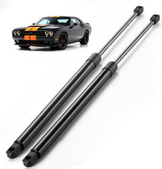 ARANA rear trunk struts front view showing fit and finish for easy replacement