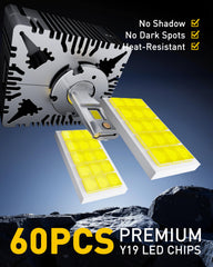 AUXITO D5S thin base board detail demonstrating halogen-like distribution benefit reduced glare