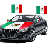 BBTO hood cover front view showing full Mexican flag and vibrant protection