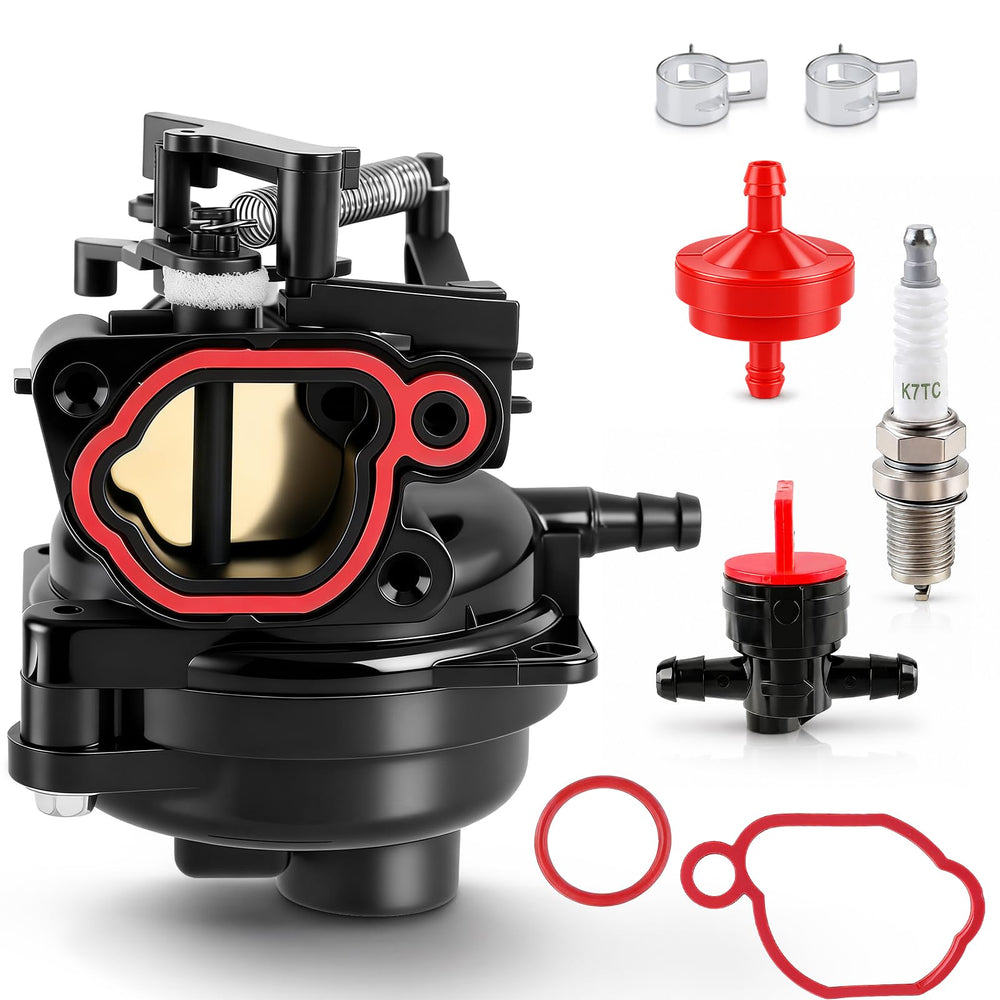 BioLion carburetor front view showing mounting ports and improved fit
