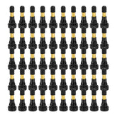 BLACKHORSE-RACING front view of 50-piece valve stem kit showing contents and benefit of quantity