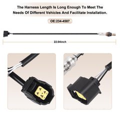 BLPextrm sensor probe closeup showing aluminum oxide trap layer for stable signal and electrode protection