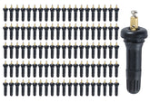Boine 100-pack front view showing packaged TPMS valve stems and quantity benefit