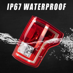 Boine tail light mounted on Ford F150 demonstrating exact fit and alignment