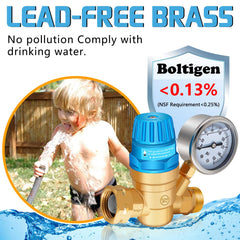 Boltigen pressure regulator close-up showing adjustable top and hand control