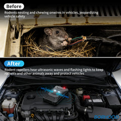 BORHOOD label and casing detail showing model info and durable weather-resistant finish