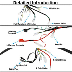CAFEZAYO ignition coil detail highlighting durable construction for steady spark