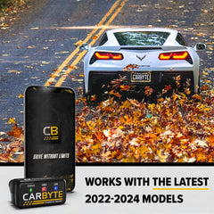 Carbyte installed in vehicle console demonstrating discreet in-cabin location