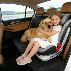 CBBPET seatbelt attachment demonstrating secure harness travel benefit