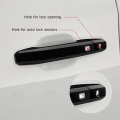 DLOVEG driver-side handle installed showing clean appearance and protection