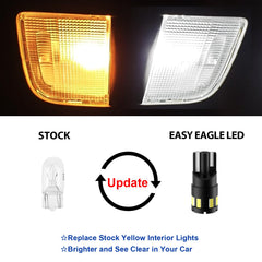 EASY EAGLE close-up of 6000K LED bulbs highlighting quality diodes
