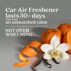 Enviroscent hanging in car from rearview mirror, offering continuous fresh scent