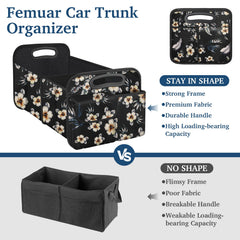 Femuar open in car trunk holding groceries for organized transport