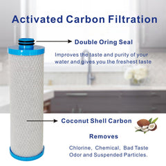FILSADAE close-up of coconut shell carbon interior showing adsorption surface benefits