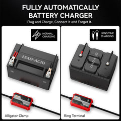FOVAL LED indicator lights close-up showing clear charging status