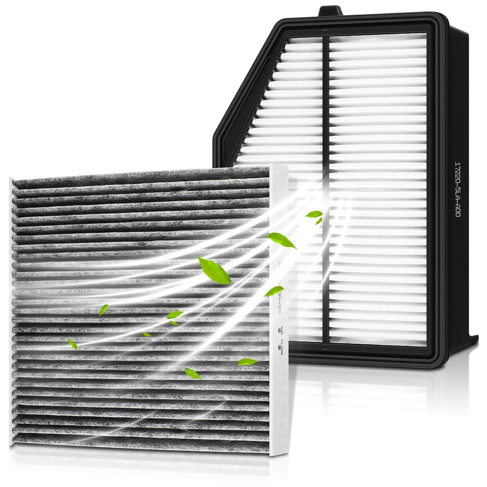 GoaMotors front view of engine and cabin filters showing both components and correct fitment