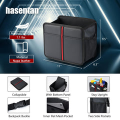 hasentan mounted on backseat demonstrating organized travel benefit