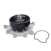 IRONTREE AW7163 front view showing pump and gasket, clear fit confirmation