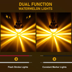 JZYZQBX close-up of 6x3030 LED chips and AS lens delivering bright visibility