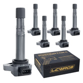 LCWRGS front-packaging showing six ignition coils and clear labeling, assures correct fit