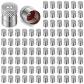 LEIFIDE front view of 200-pack metal dome valve caps showing quantity and finish