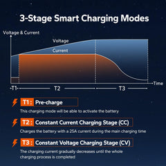 LiTime charger mounted on garage wall, space-saving installation and tidy wiring