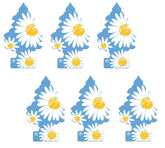 LITTLE TREES Daisy Fields front packaging showing six hanging trees and scent branding for easy selection
