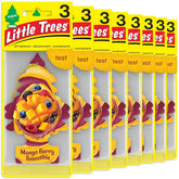 LITTLE TREES front packaging showing mango berry fragrance and benefits