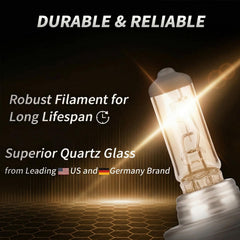 LUVALON single H11 bulb close-up highlighting build quality and fit