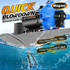 Magam strainer and inlet detail protecting pump and improving intake water quality