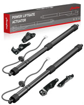 Marsflex front packaging showing complete liftgate strut pair and label, clear product ID benefit