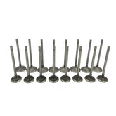 Mievlyo valve kit front packaging showing complete replacement set and reassurance of fit