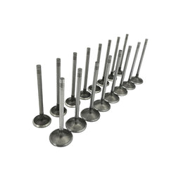 Mievlyo valves side-by-side with ruler showing scale for correct OEM dimensions