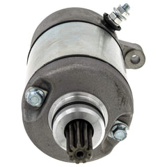 NICHE starter gear closeup showing nine teeth for reliable flywheel engagement