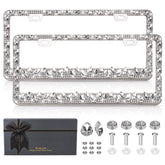 OKLPF front view silver frame showing full sparkle and clean fit