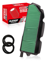 OLIFANT front view of air filter showing shape and fit for Pioneer models, ensures exact fit
