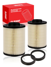 OLIFANT front view of replacement filters showing fit and labeling for easy identification