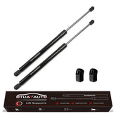 OTUAYAUTO front view of hood struts showing fit and finish benefit