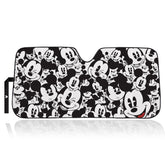 Plasticolor Mickey front view showing full windshield coverage and cool protection