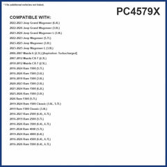 Premium Guard PUREFLOW PC4579X filter flat lay showing clean pleats