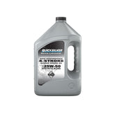 Quicksilver 1 gallon bottle front view showing clear product branding and protection