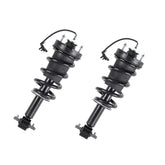 Richeer front view strut assembly showing complete unit and easy fit