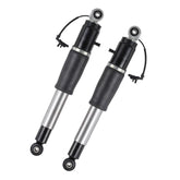 Richeer rear strut front view showing complete assembly and fitment benefit