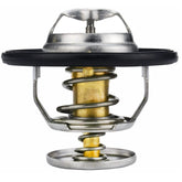 RICHWEI thermostat front view showing full housing and mounting holes for correct fit