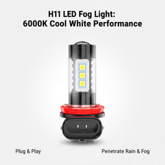 ROADLIT close-up of H11/H8 bulb base highlighting secure plug fit benefit